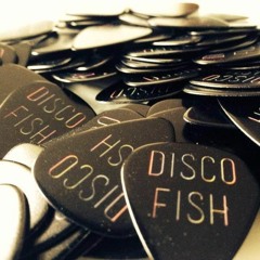 Disco Fish