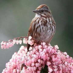 آيات مختارة