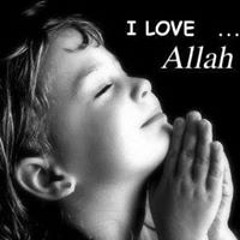 Mohamed Awed