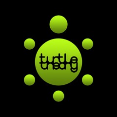 turtletheory
