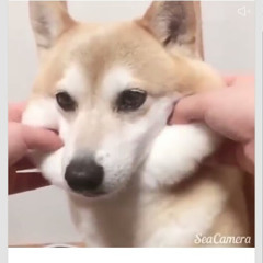 ,. .