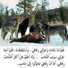 صافى ابوفنانى