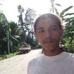 Bryan Camilo Bernaldez