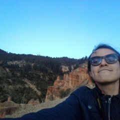 Saul Yance Echegaray