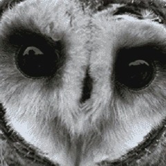 乇乂ㄒ尺卂 ㄒ卄丨匚匚