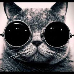 tech house