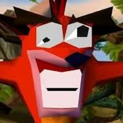 Bandicoot