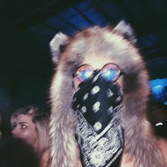 sammyfreiberg
