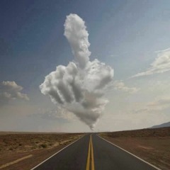 Gretchen Hibshman Nelson