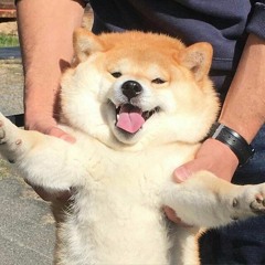 daangvicki