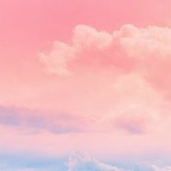 정세영