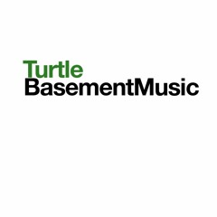 Turtle Basement