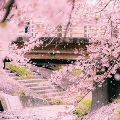 Meii Watanuki