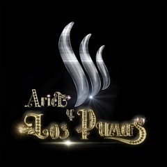 Ariel Los Pumas