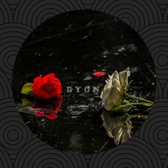 Dyon