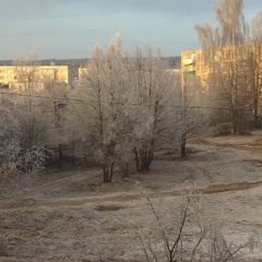 вася помидоров