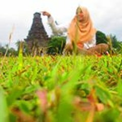 Tibbil Qulub