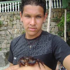 jonathan willian