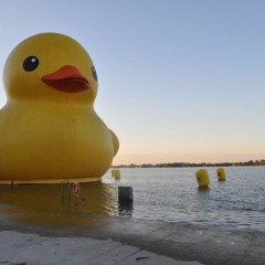 Duck McQuackins
