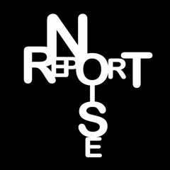 noise report