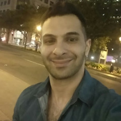 shaheen manouchehr