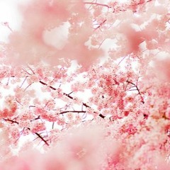 petalgirl