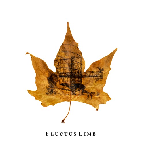 fluctus limbs fluctus limbs
