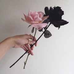 ssnnaazzyy