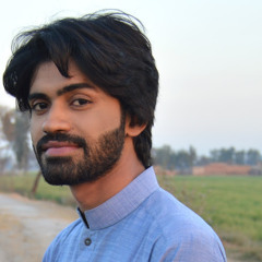 Zohaib Naqvi