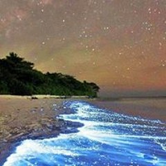 اصديفه تحنيت