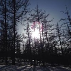 Tamjidsan Tuvshinbayar