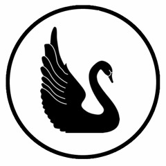 Black Swan Studio