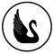 Black Swan Studio
