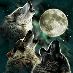 PRIMAL GAM3R LIV3STR3AM3R