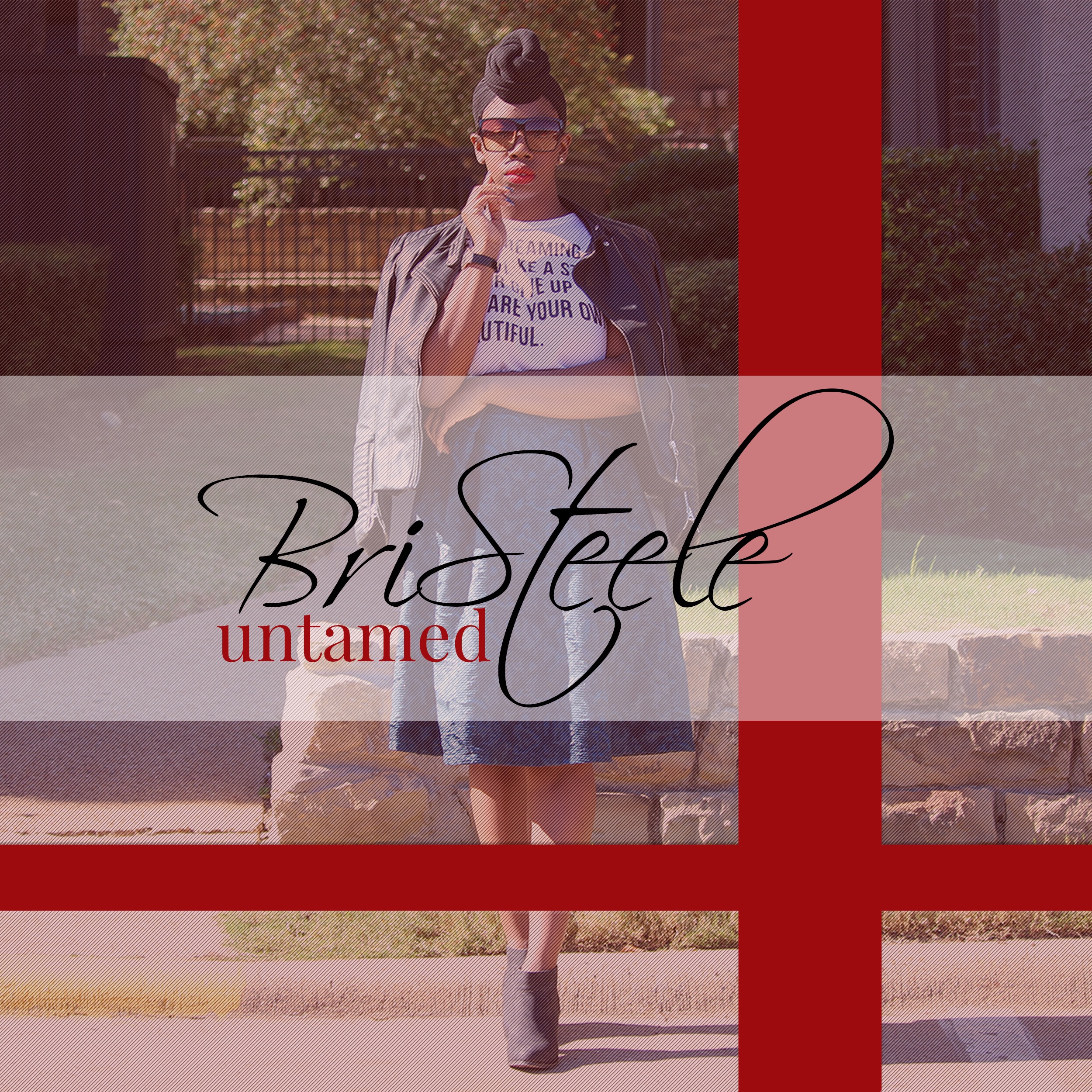 BriSteele Untamed cover art