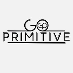 Go Primitive