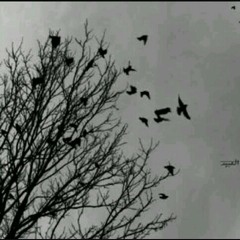 User 101719881