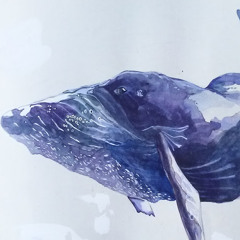 필소굿