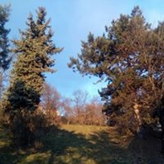 Táňa Štefkovičová