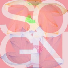 SOGN쏘근