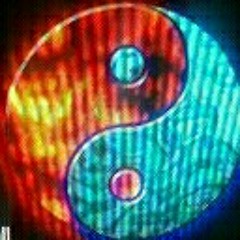 The Harmonized Trainer