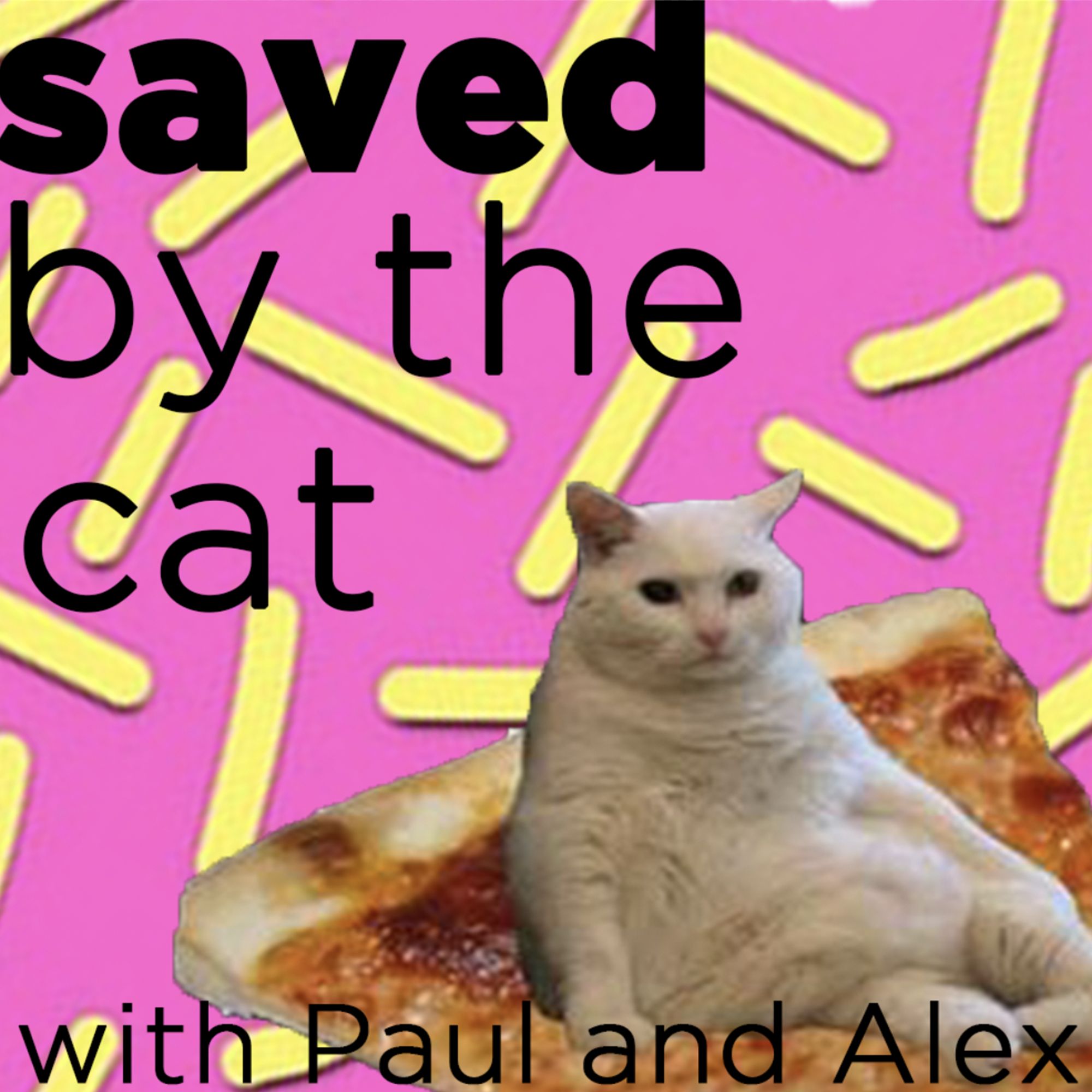 Saved by the Cat Podcast
