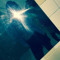 bbyg.tt