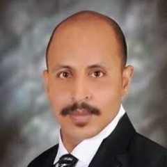 mohamed elhosiny