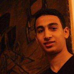Bahaa Elsanhory