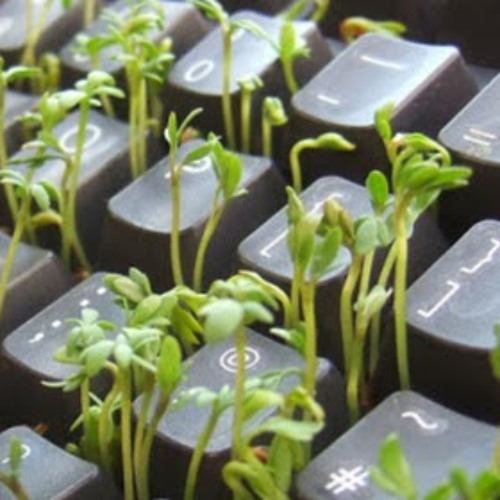 Classical Essentials