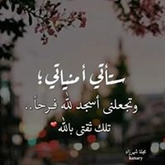 Fathy Hesham