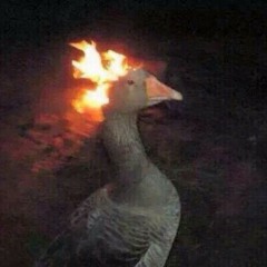 Алексей Макаренко