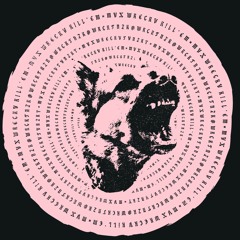 WRCKTNZK (SecretStash)