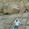 محمود حسني